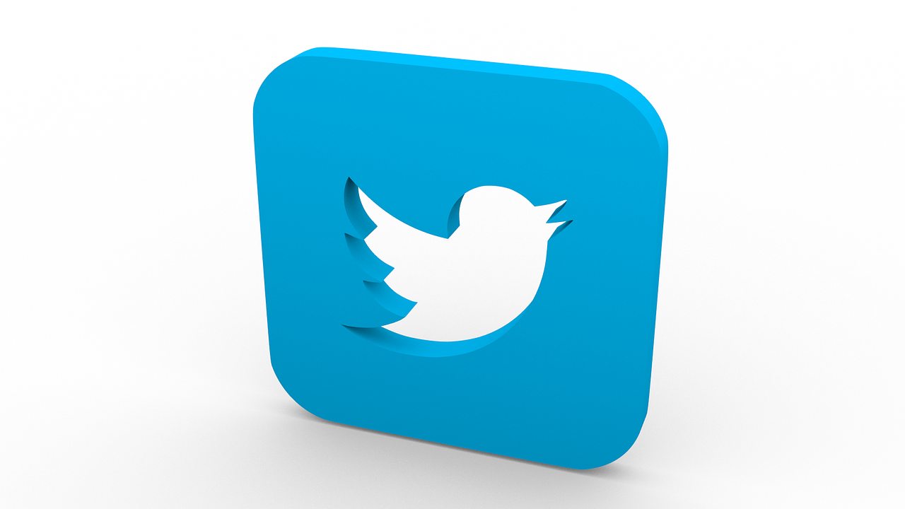 Twitter icon and logo