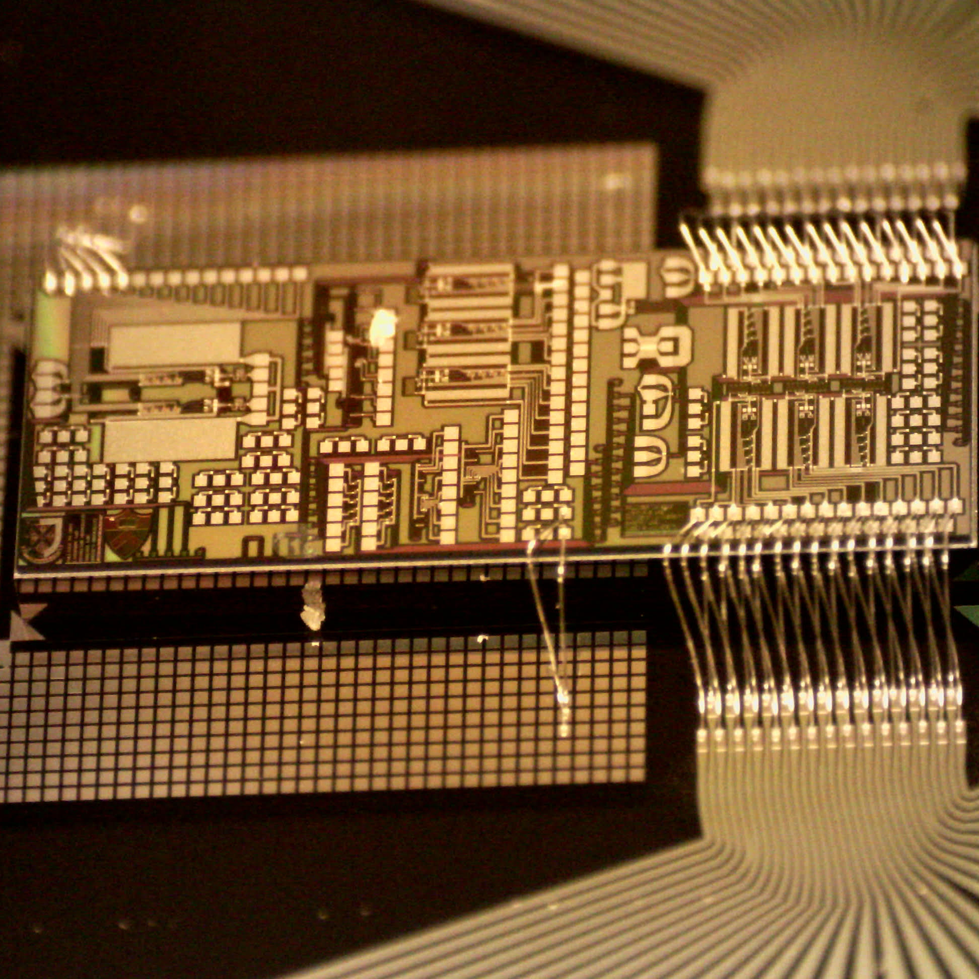 CHIP used in research 