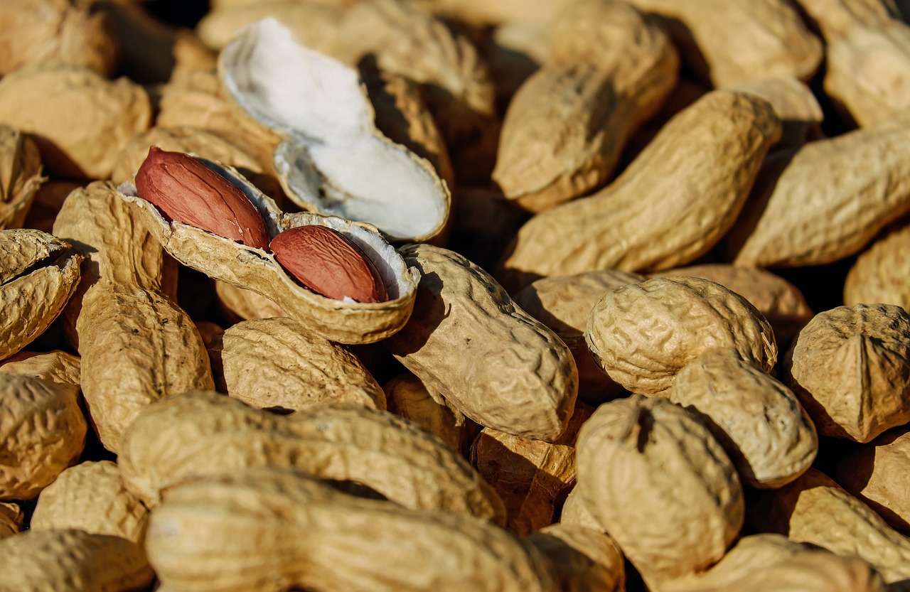 close up of shelled peanuts and one open peanut