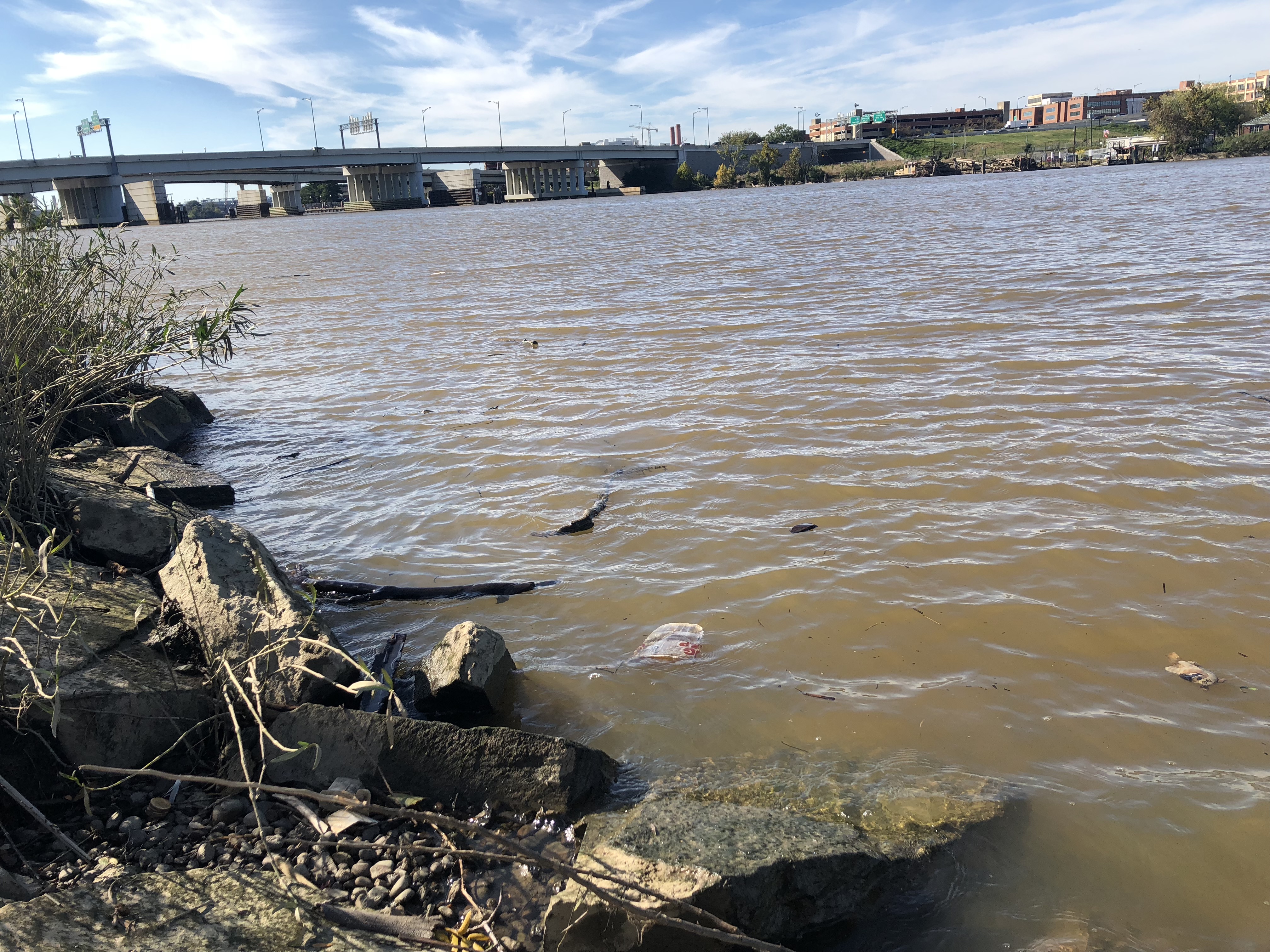 Anacostia River