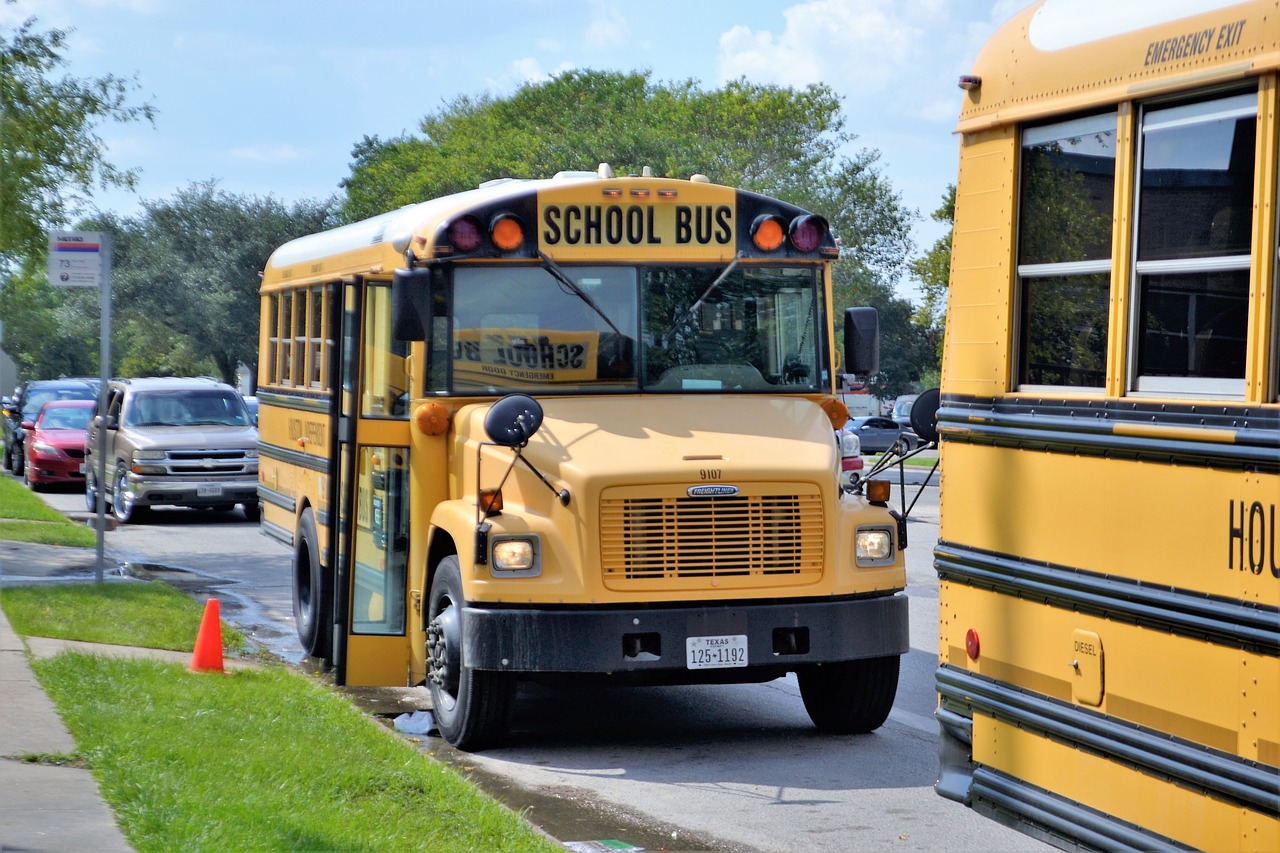 yellow school buses parked on the side of a road