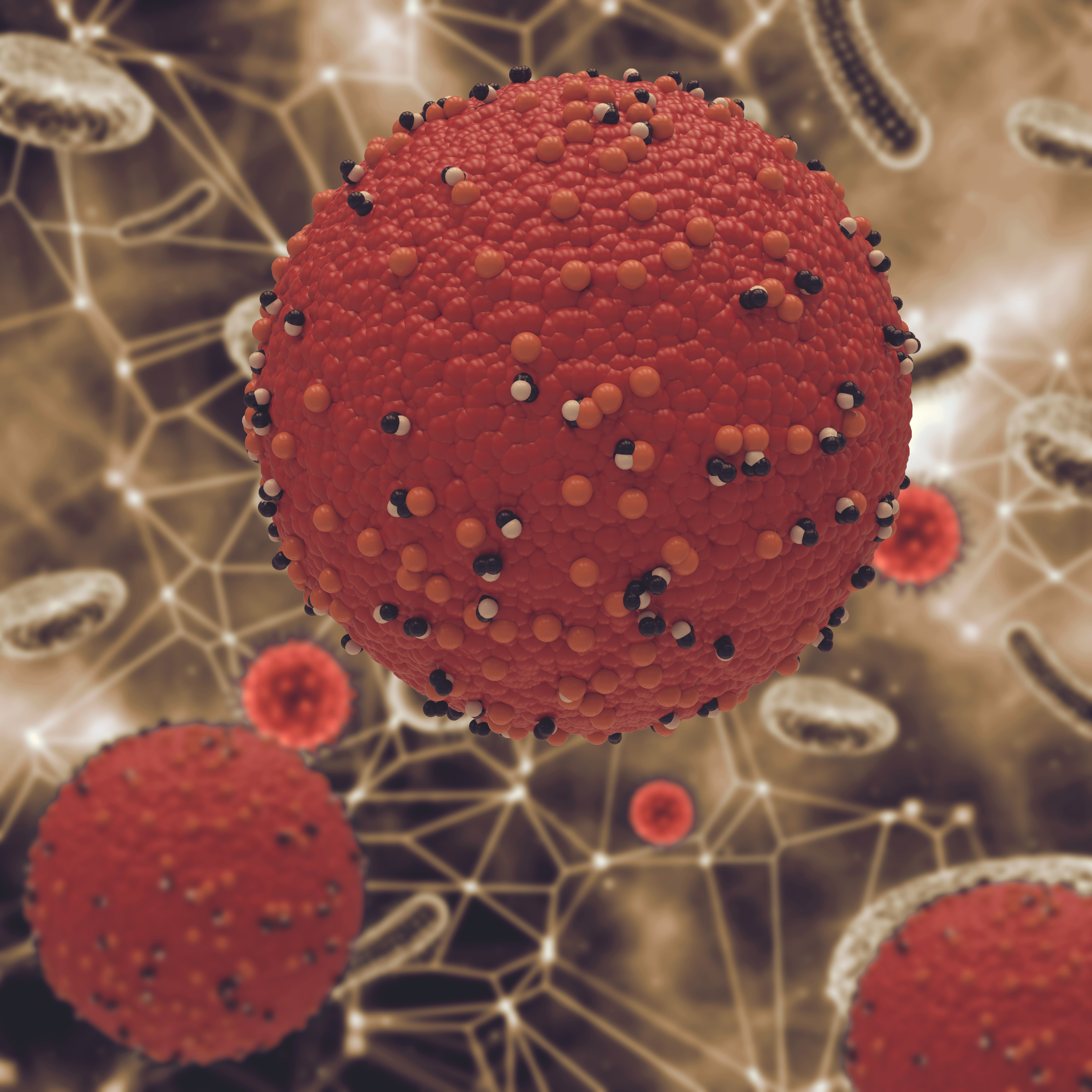 Measles Virus 