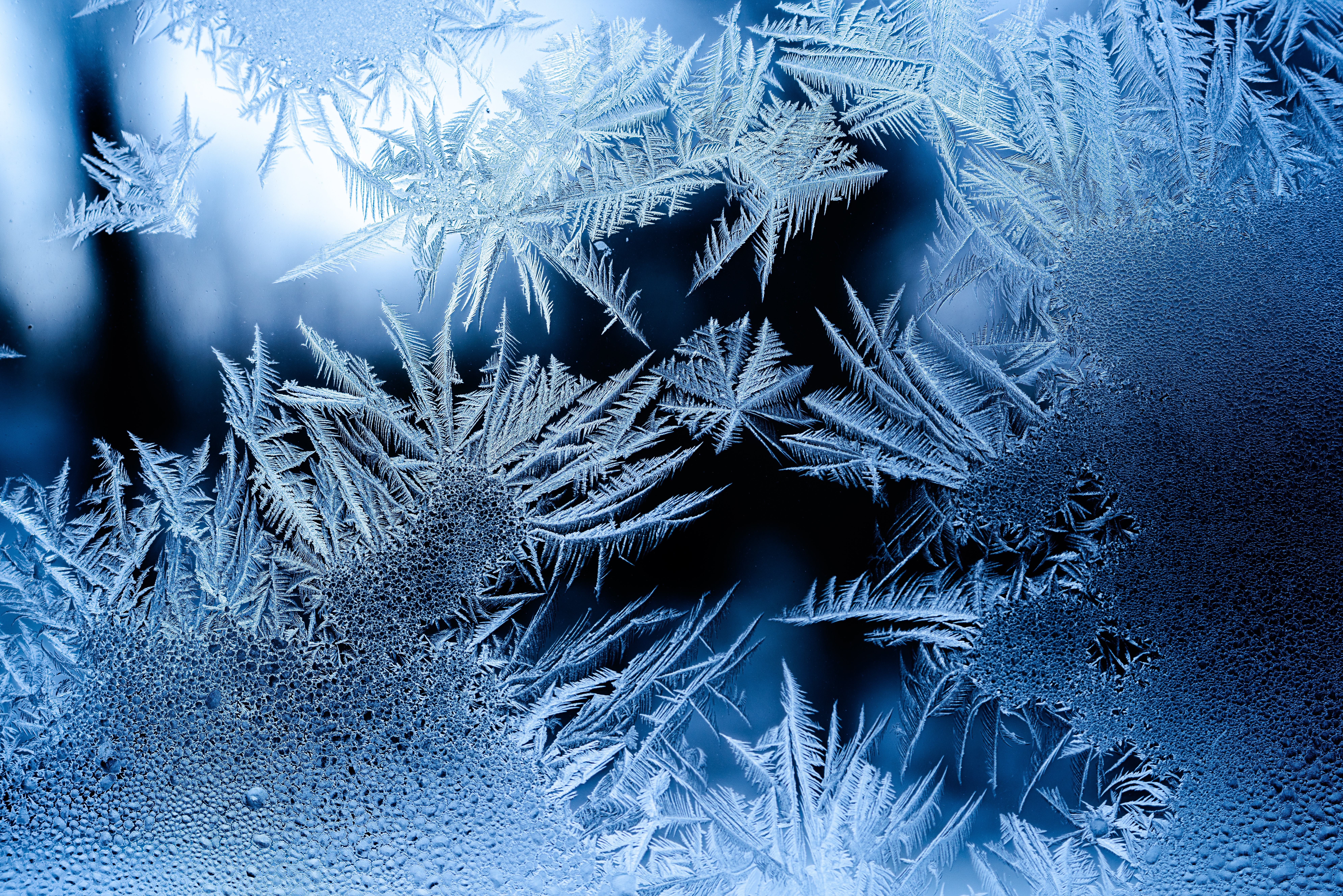 Frost patterned window