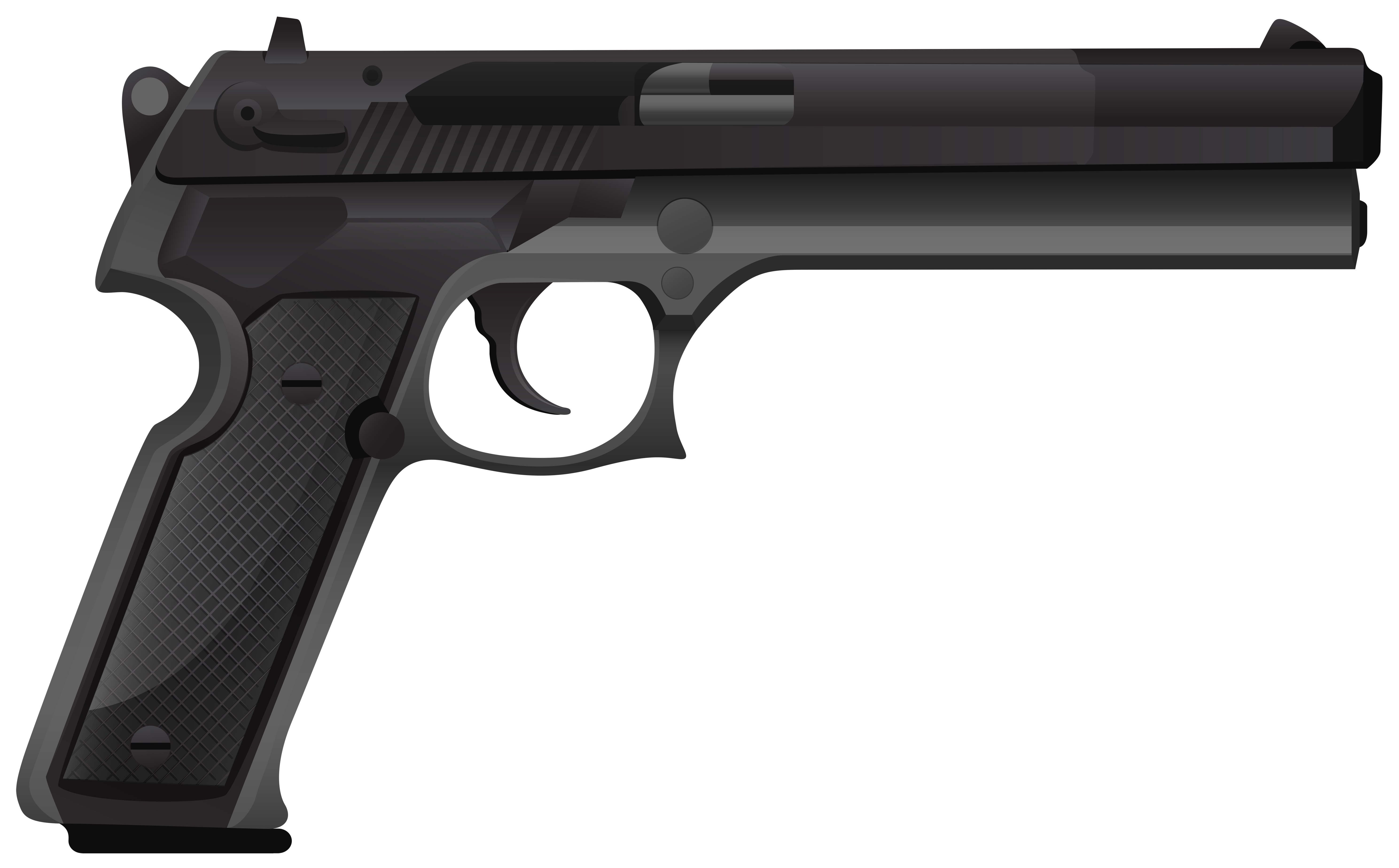 Gun