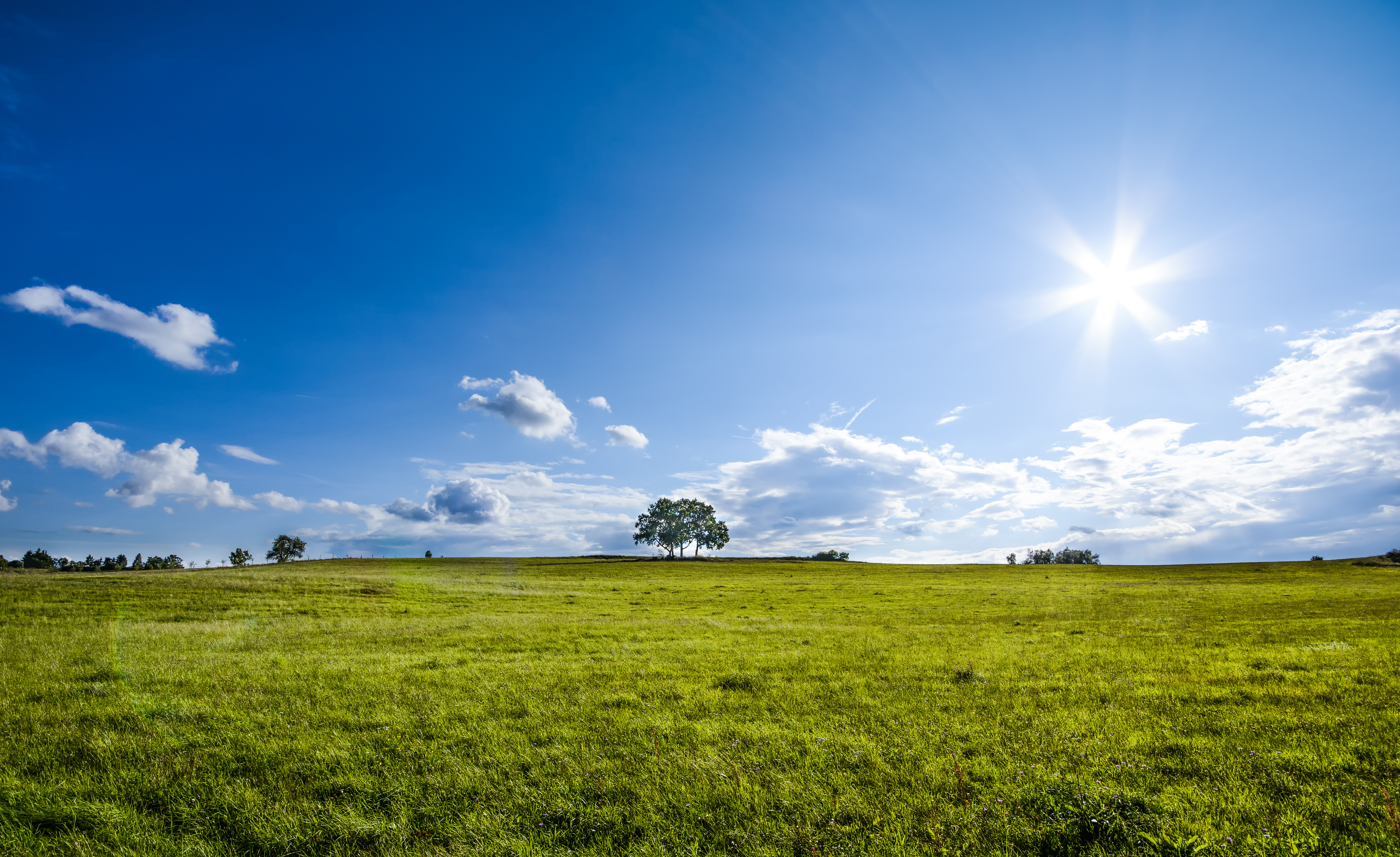 green field with blue skies and clouds