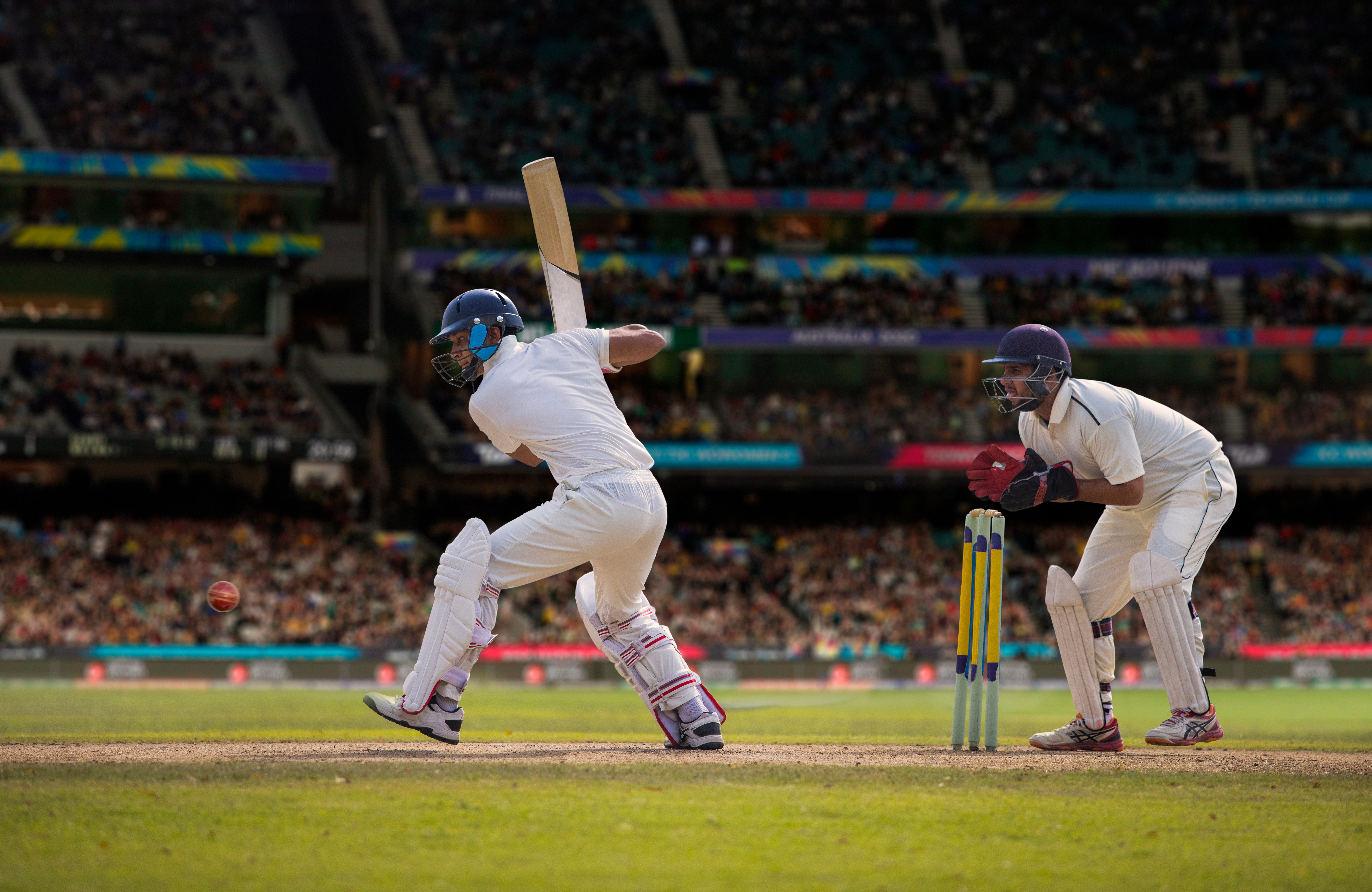 Cricket Players