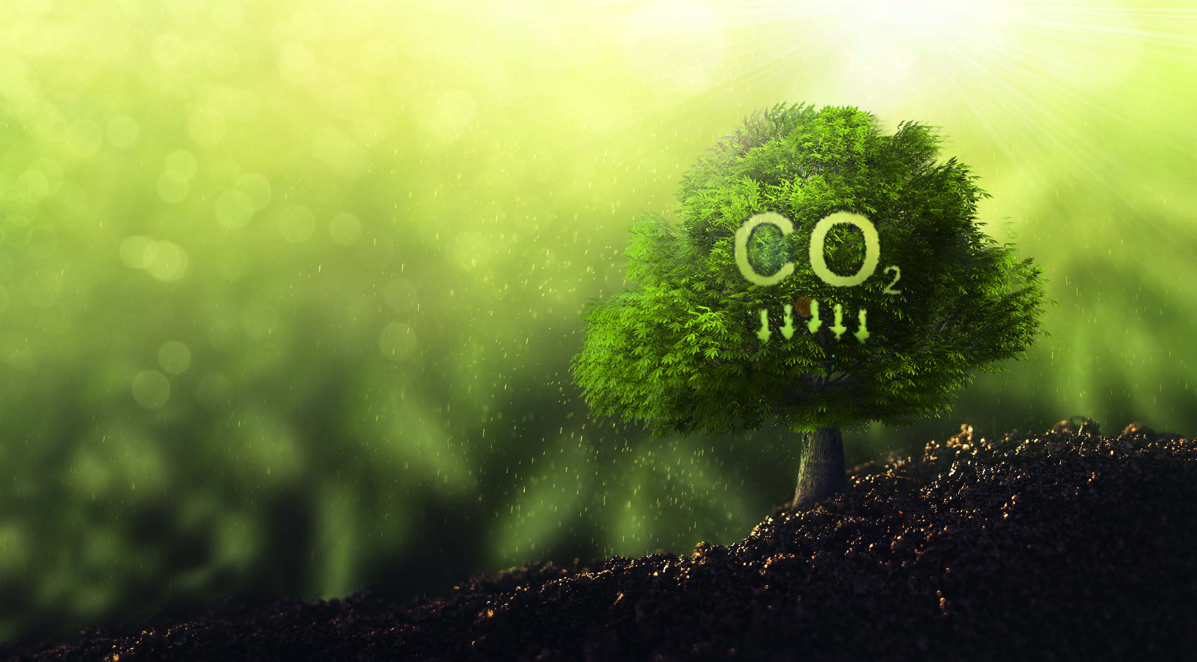 Illustration of CO2 and arrows pointing down
