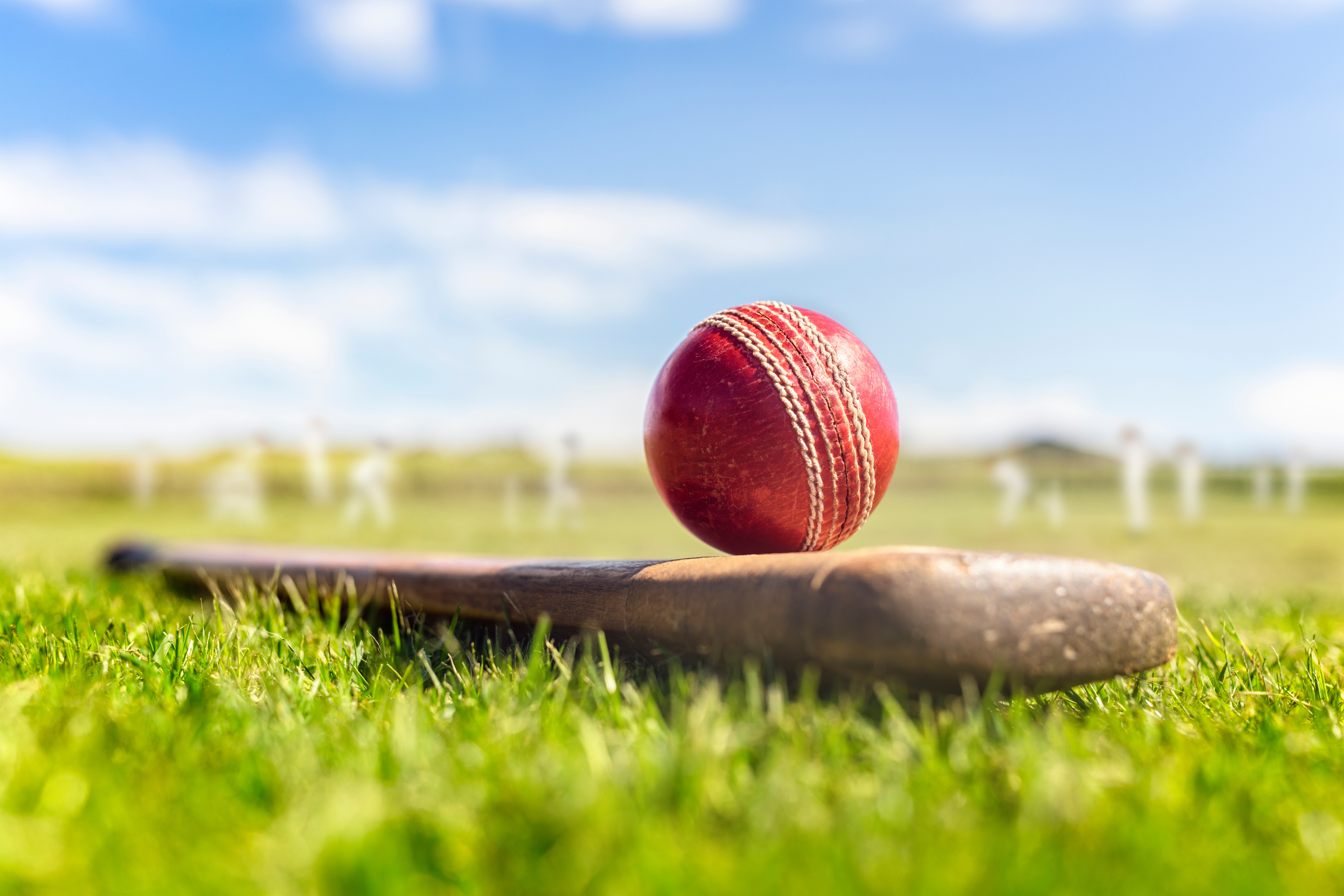 Cricket bat and ball on grass
