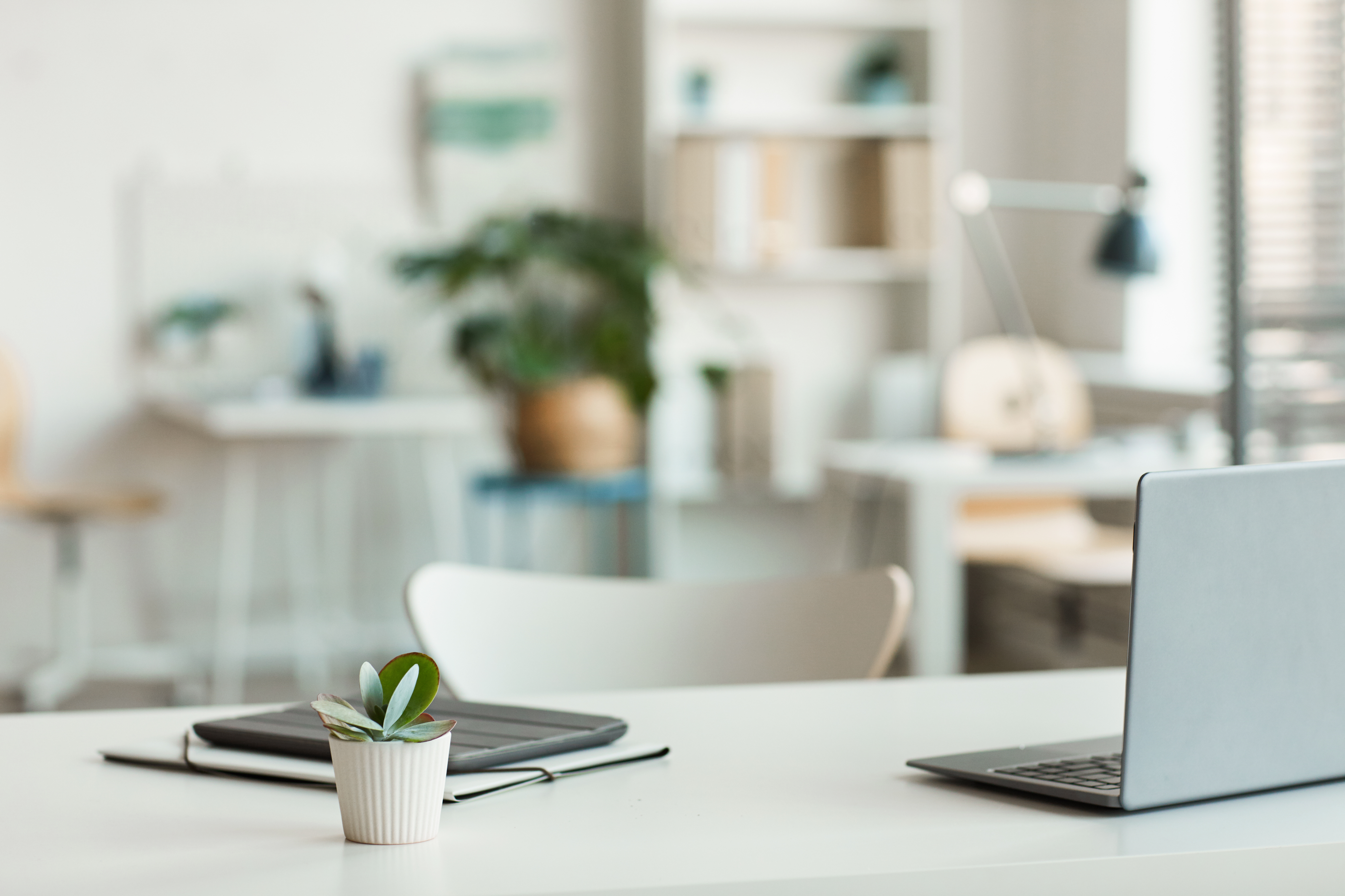 empty office with a laptop and plant in the foreground on a desk