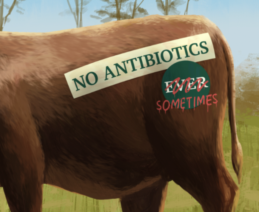 animal with the words "no antibiotics"