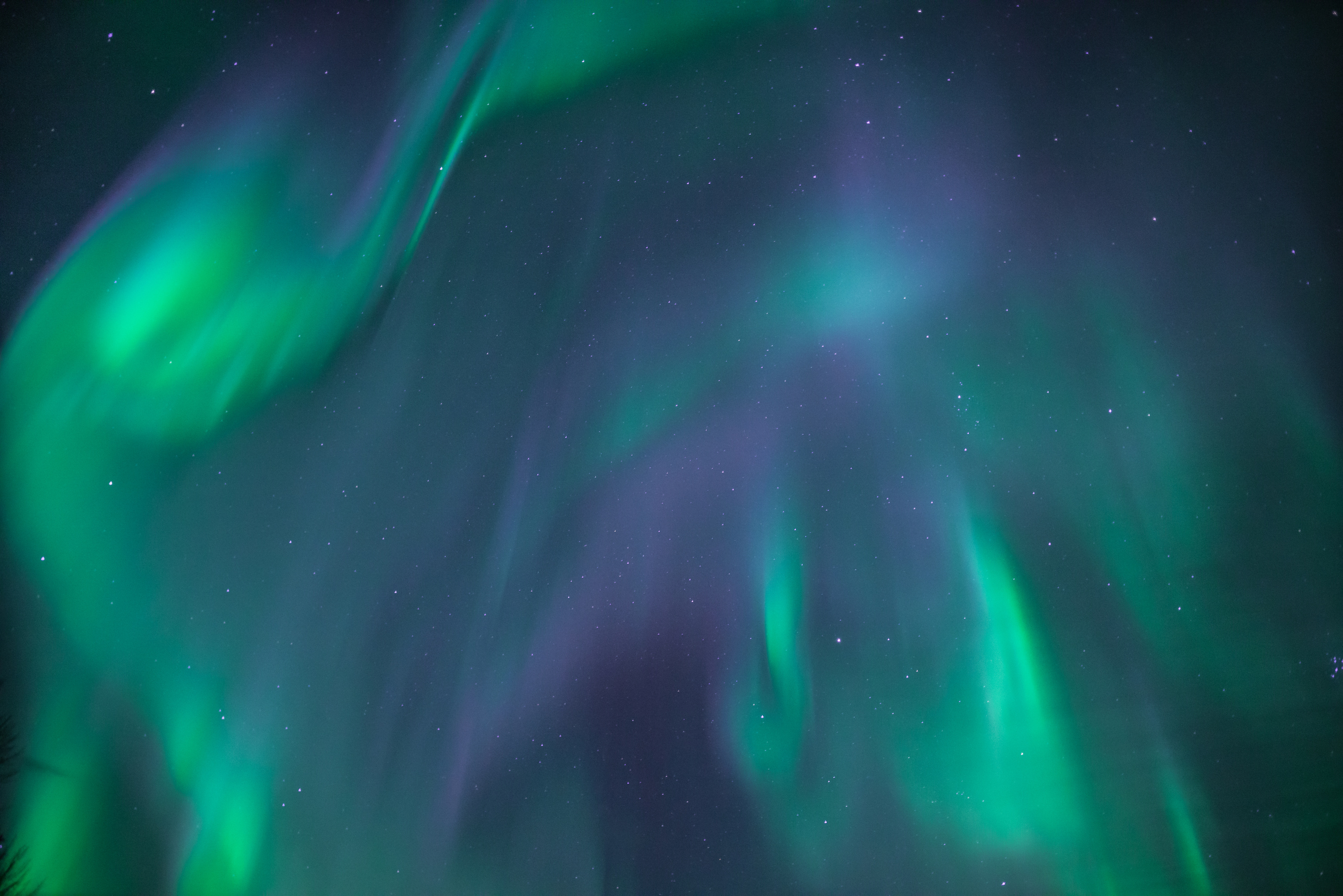 Huge green and purple northern lights