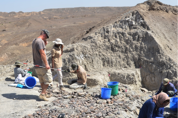 Archaeologists study the sediments at the Bokol Dora site