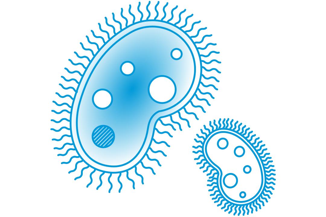 Science & Research experts