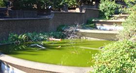 Meridian Hill Park