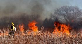 firefighter fighting wildfire