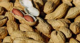 close up of shelled peanuts and one open peanut