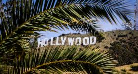 Hollwood sign in the background, palm tree in the front
