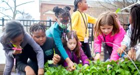 children gardening