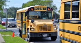 yellow school buses parked on the side of a road