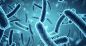 Listeria