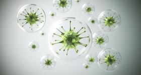 Virus