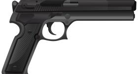 Gun
