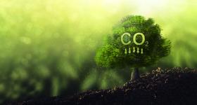 Illustration of CO2 and arrows pointing down
