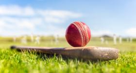 Cricket bat and ball on grass