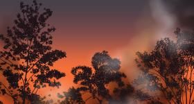 Wildfire