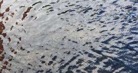 Flooding