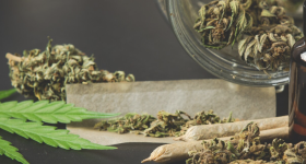Cannabis